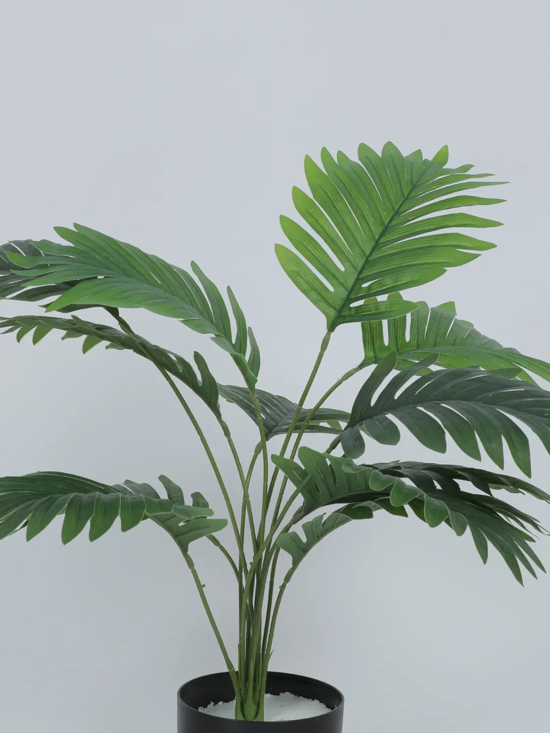 Artificial Tropical Areca Plant With Black Pot - 55 cm Tall, Green
