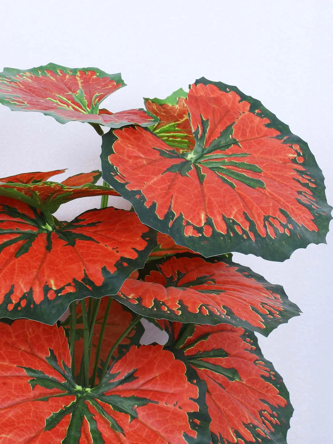 Artificial Miniature PVC Silk Caladium Leaf Red Floor Plant with Pot (12 Leaves, 55 cm Tall, Red)