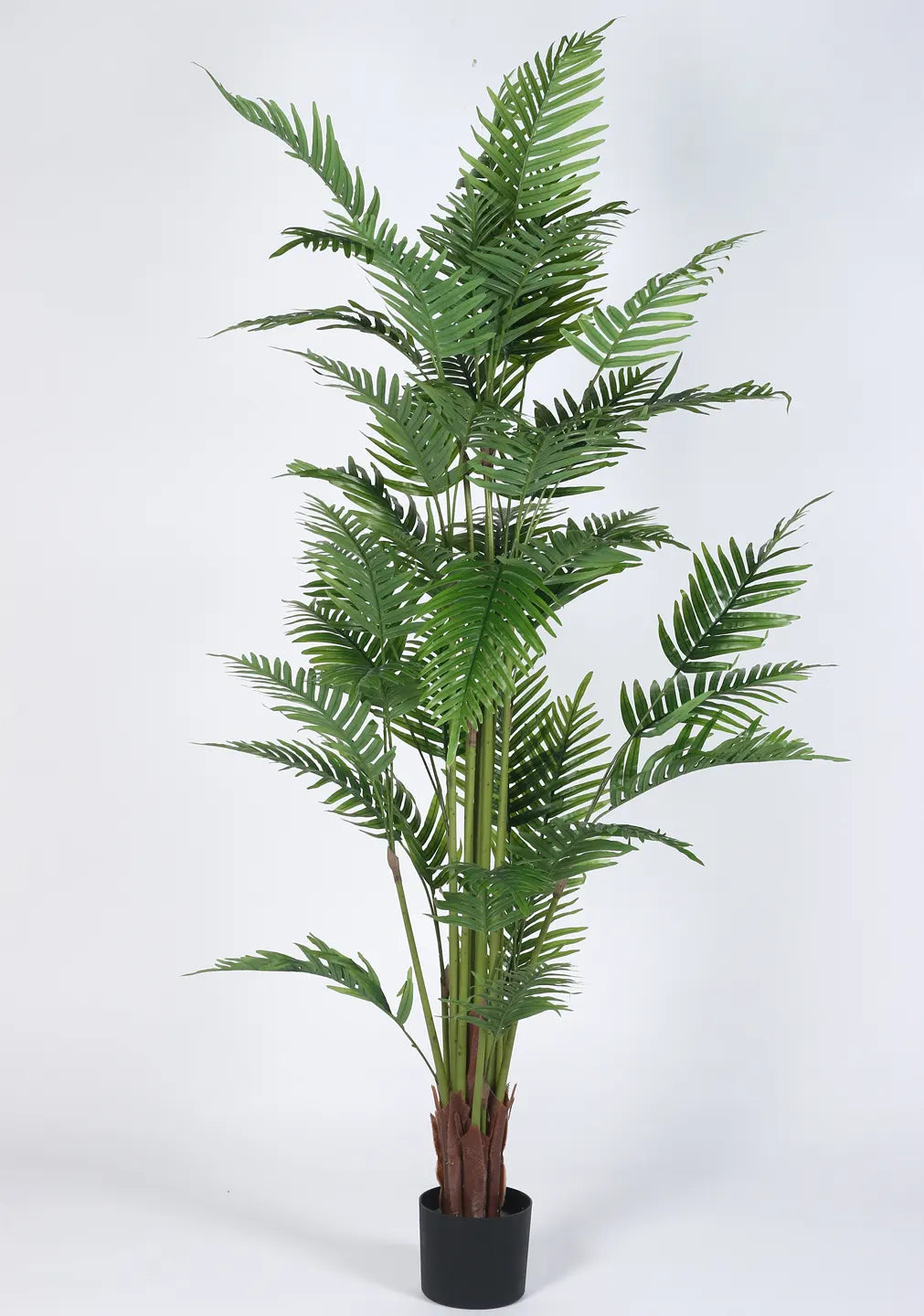 Artificial Phoenix Date Palm Tree with Basic Black Pot - 6 Feet