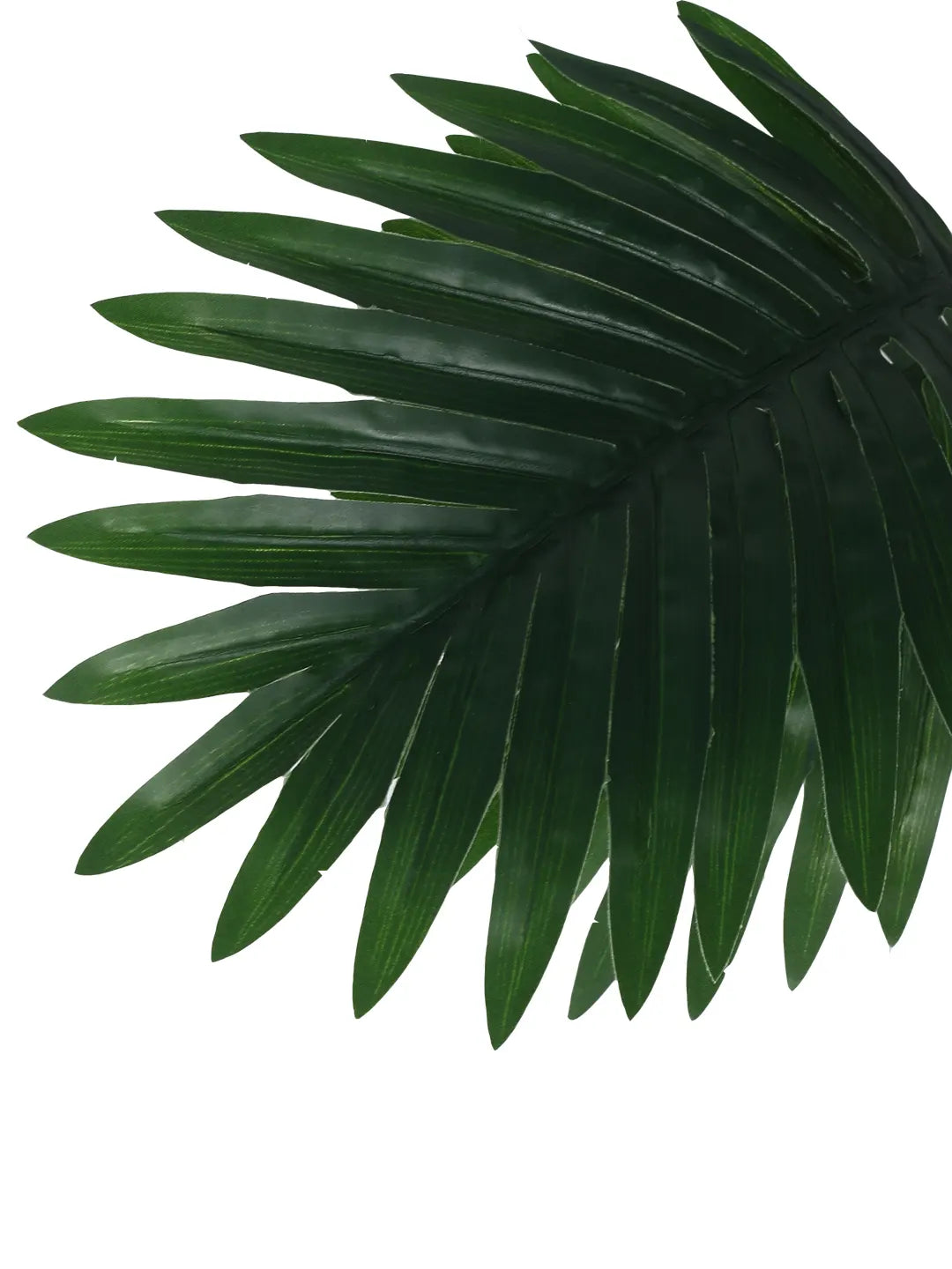 Artificial Tropical Areca Plant With Black Pot - 55 cm Tall, Green