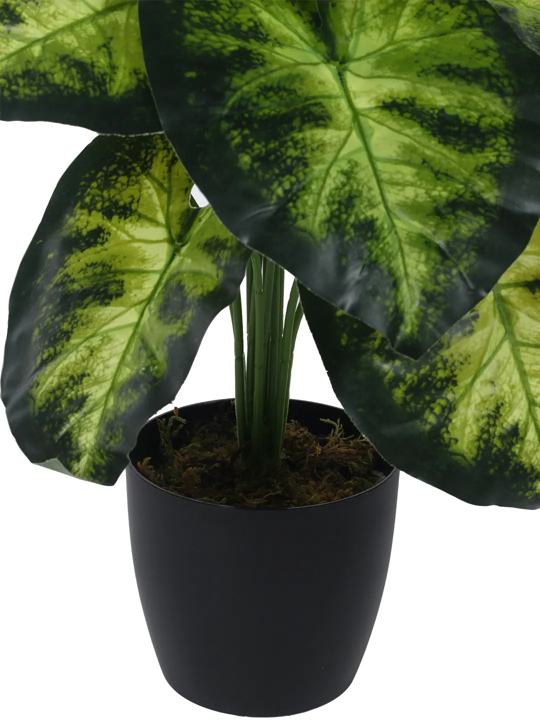 Artificial Dieffenbachia Leaf Plants for with Pot (12 Leaves, 55 cm Tall, Green/Yellow)