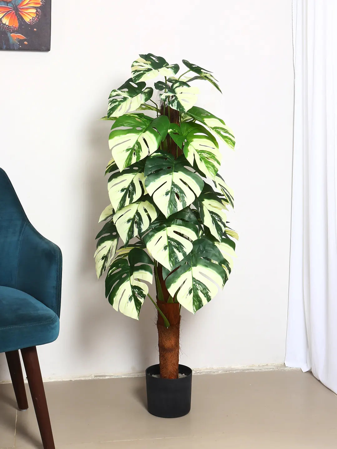 Artificial Variegated Dual Monstera Plant with Basic Black Pot - 120 cm Tall Green