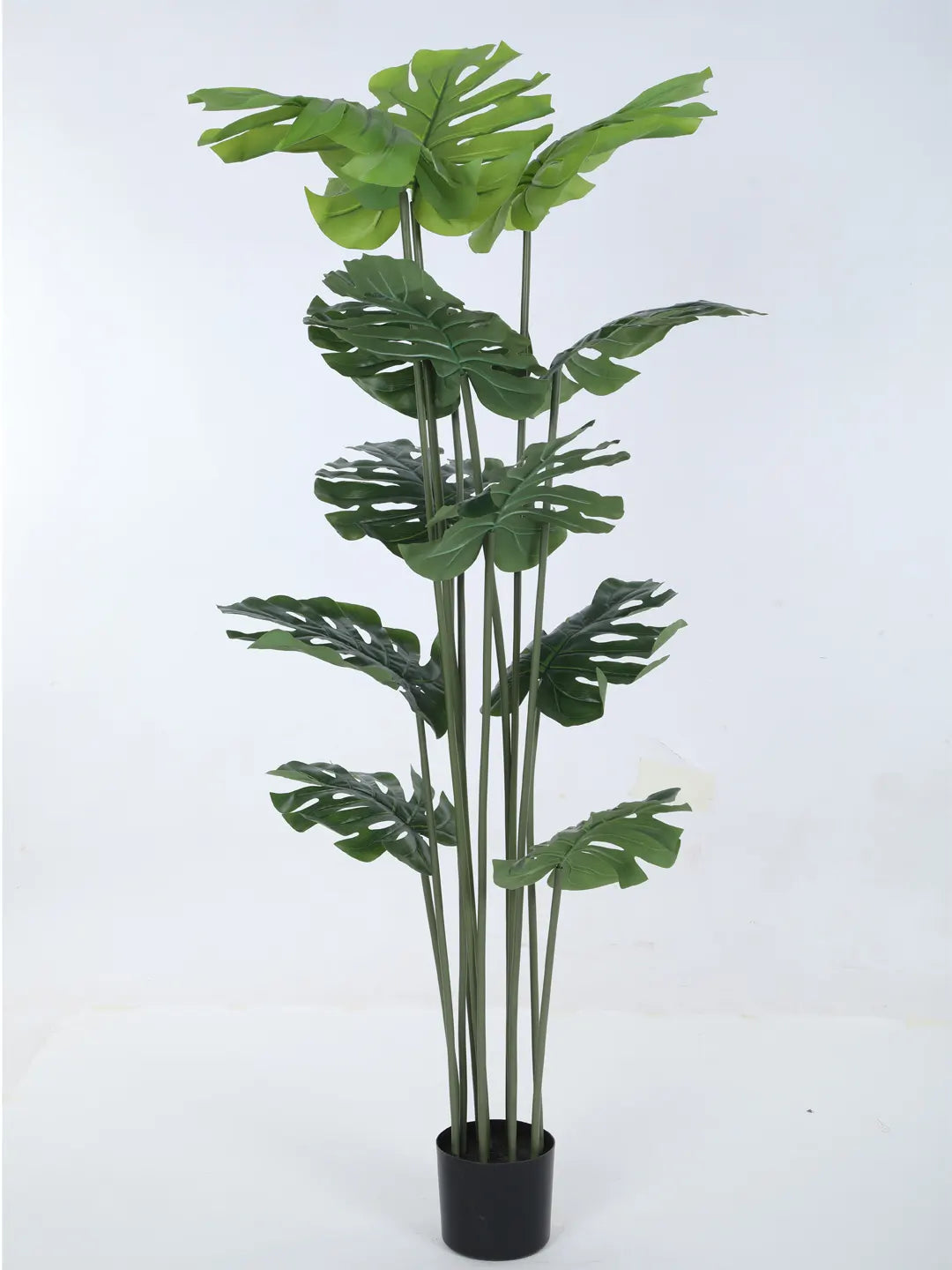 Artificial Lush Monstera Plant with Basic Black Pot - 180 cm Tall Green
