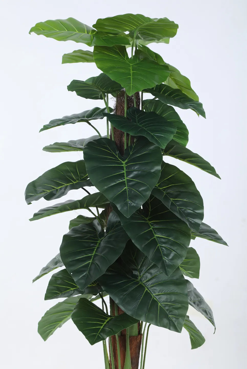 Artificial Dual Rubber Looking Leaves Plant with Basic Black Pot - 120 cm Tall Green