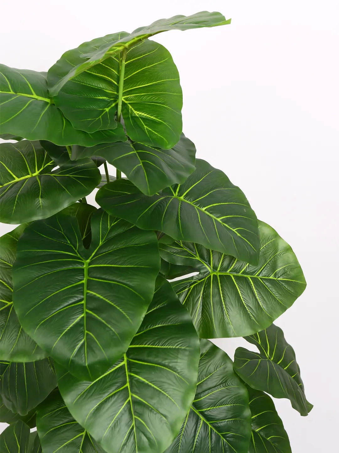 Artificial Midas Rubber Plant with Basic Black Pot - 4 Feet 24 Green Leaves
