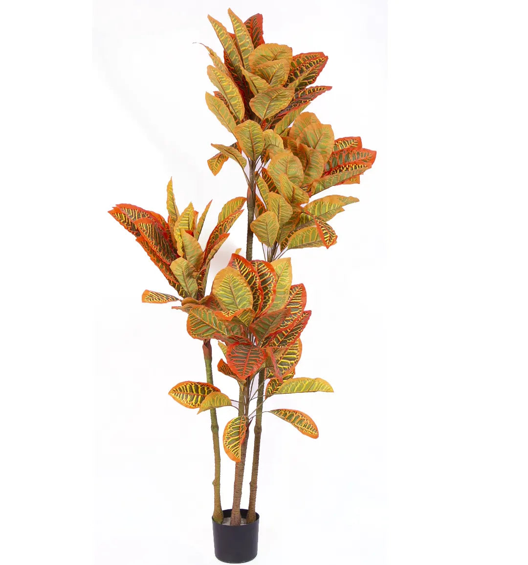 Artificial Multicolor Croton Grandiose Plant with Basic Black Pot - 6 Feet