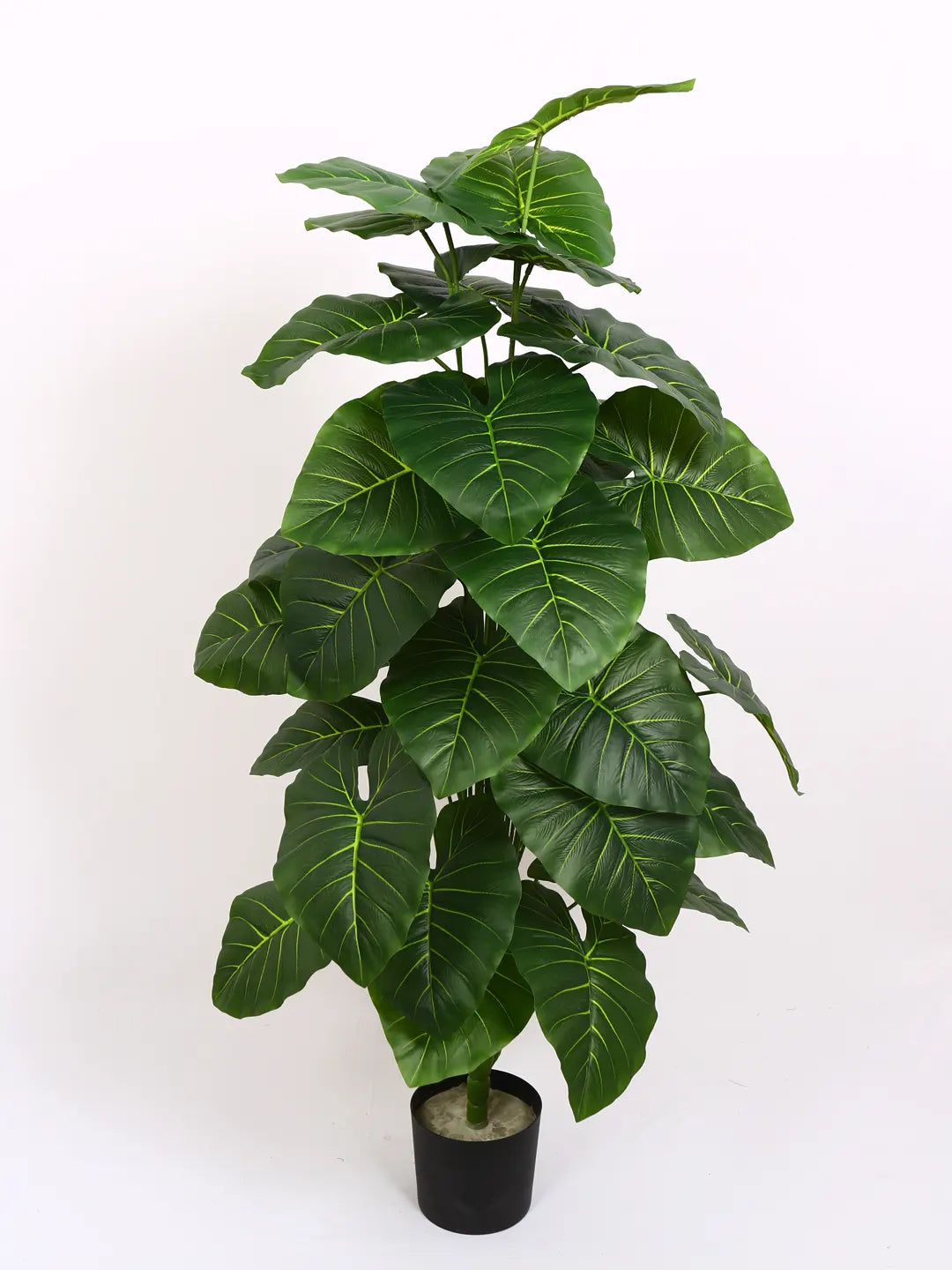 Artificial Midas Rubber Plant with Basic Black Pot - 4 Feet 24 Green Leaves
