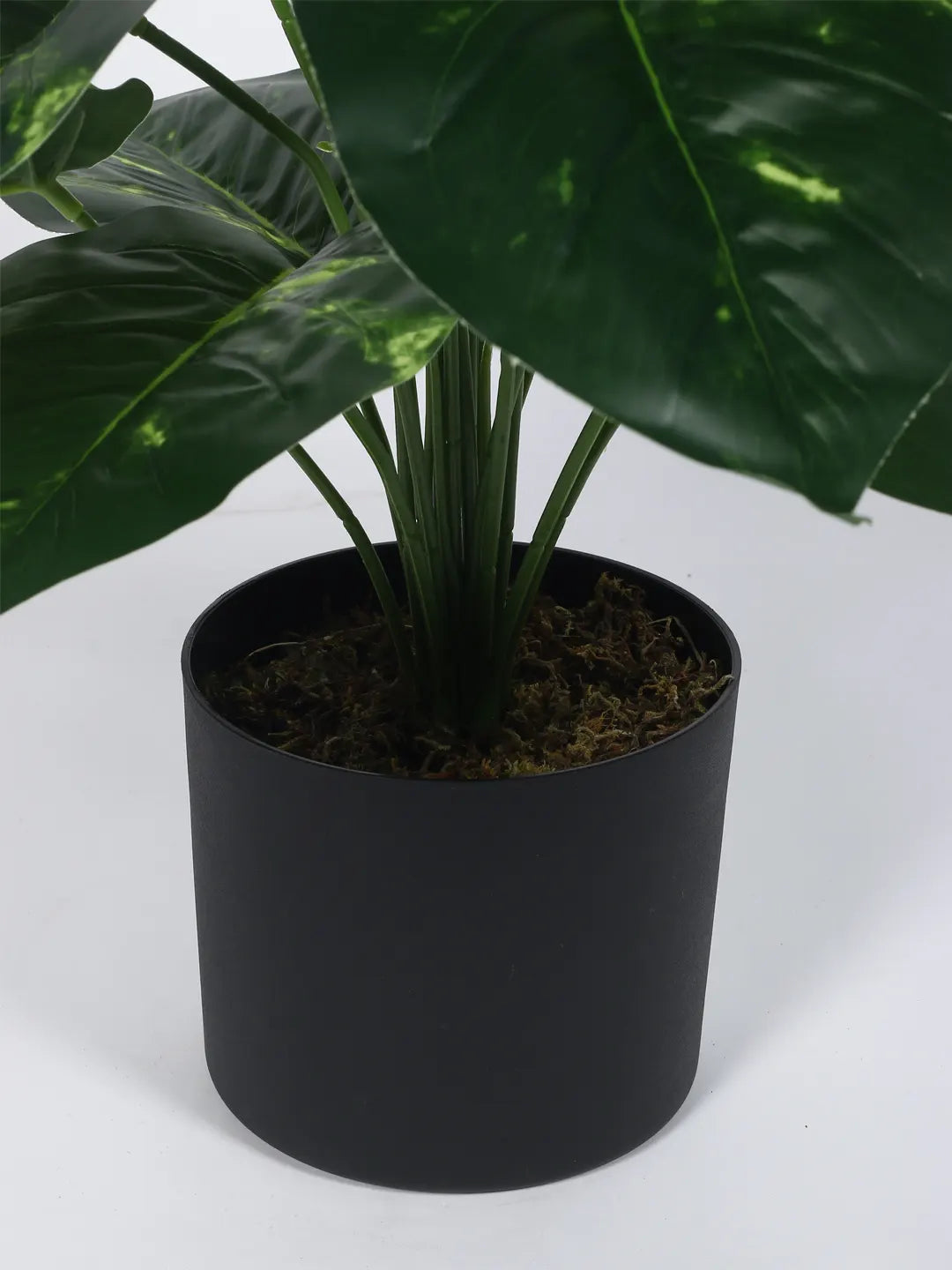Artificial Photos Leaf Green Floor Plant with Pot (24 Leaves, 80 cm Tall, Green)
