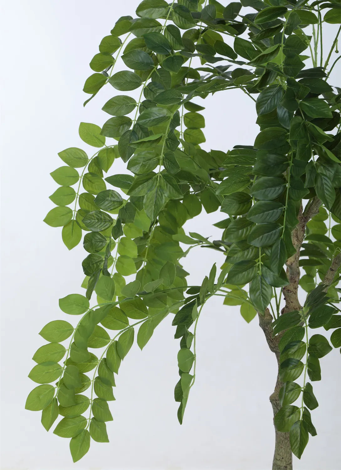 Artificial Drooping Evergreen Ficus Plant with Basic Black Pot - 120 cm Tall Green