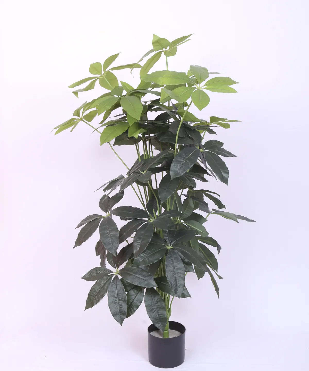 Artificial Midas Guiana Chestnut Plant with Basic Black Pot - 4 Feet 24 Green Leaves