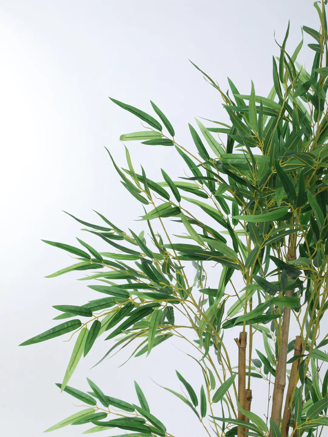 Artificial Bamboo Bliss Plant with Basic Black Pot - 5 feet Green
