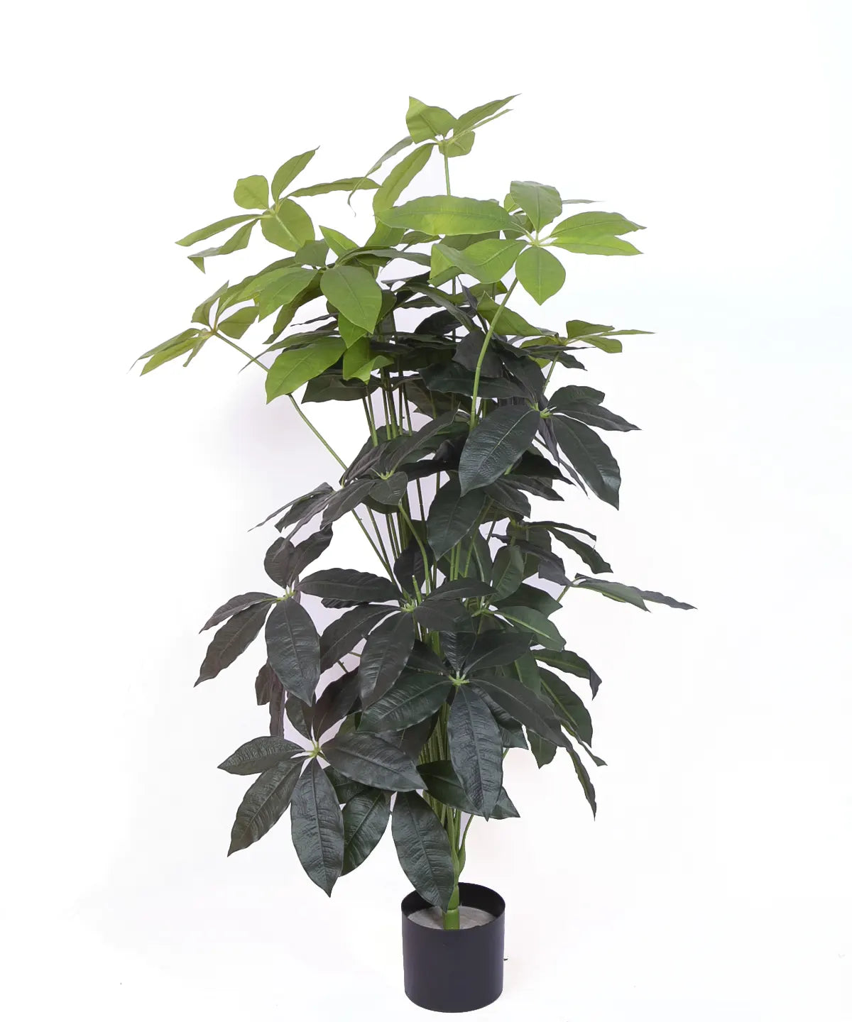 Artificial Midas Guiana Chestnut Plant with Basic Black Pot - 4 Feet 24 Green Leaves