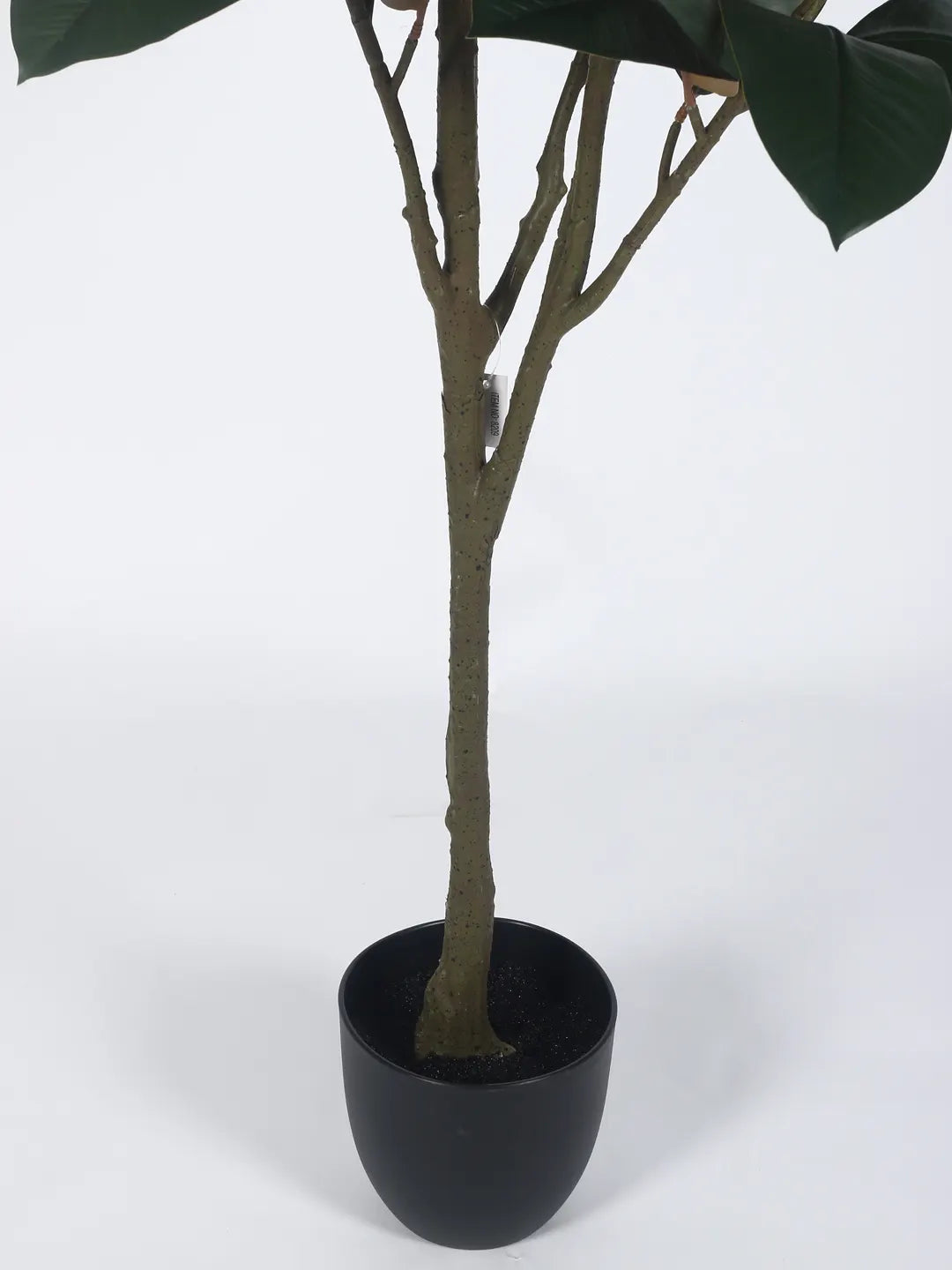 Artificial Magnolia Leaf Plant with Basic Black Pot - 140 cm Tall
