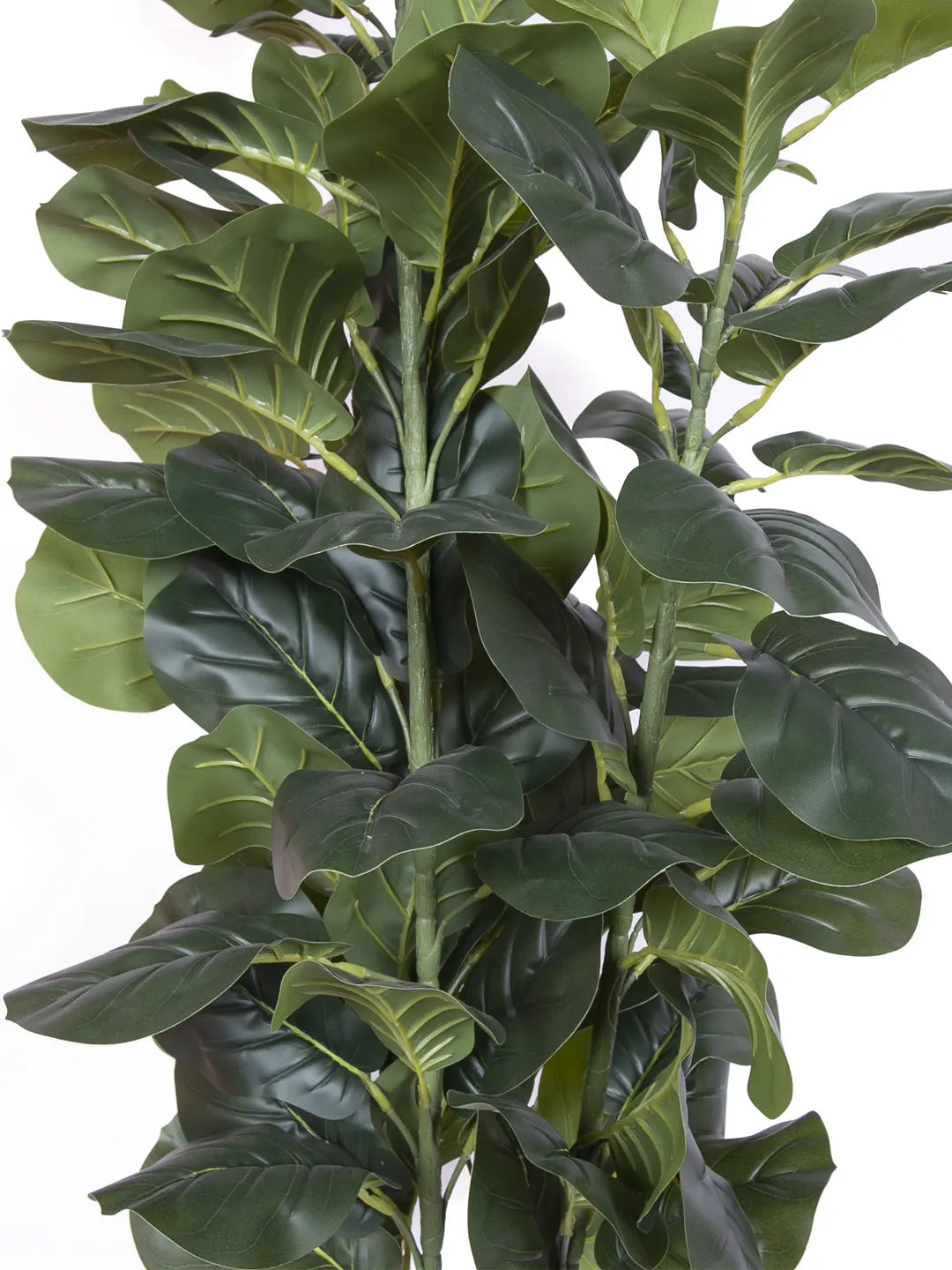 Artificial Evergreen Fiddle Leaf Fig Potted Plants Natural Faux Plants - 180 cm Tall