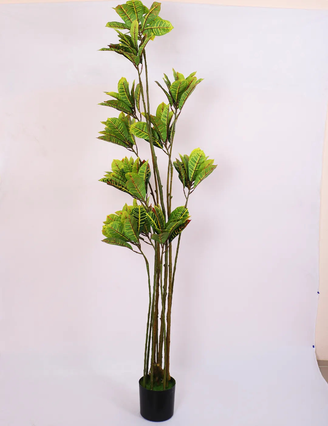 Artificial Multicolor Croton Grandiose Ficus Plant with Basic Black Pot - 6 Feet