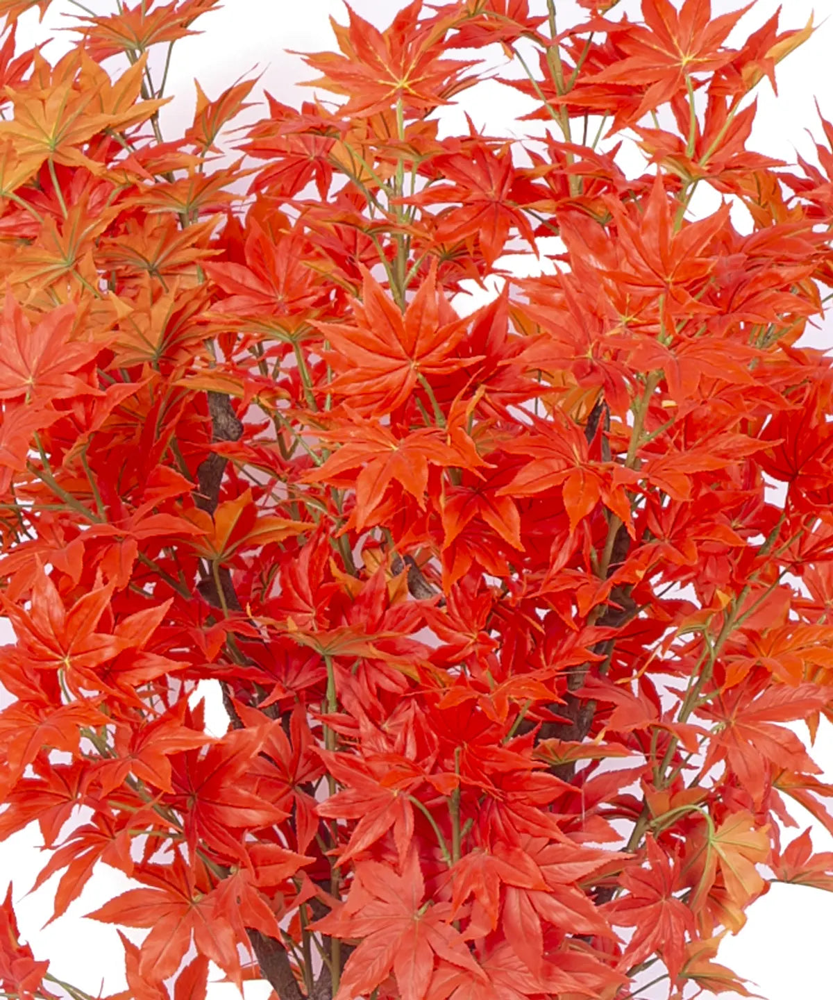 Artificial Dried Maple Plant with Basic Black Pot - 6 Feet Tall Orange Leaves