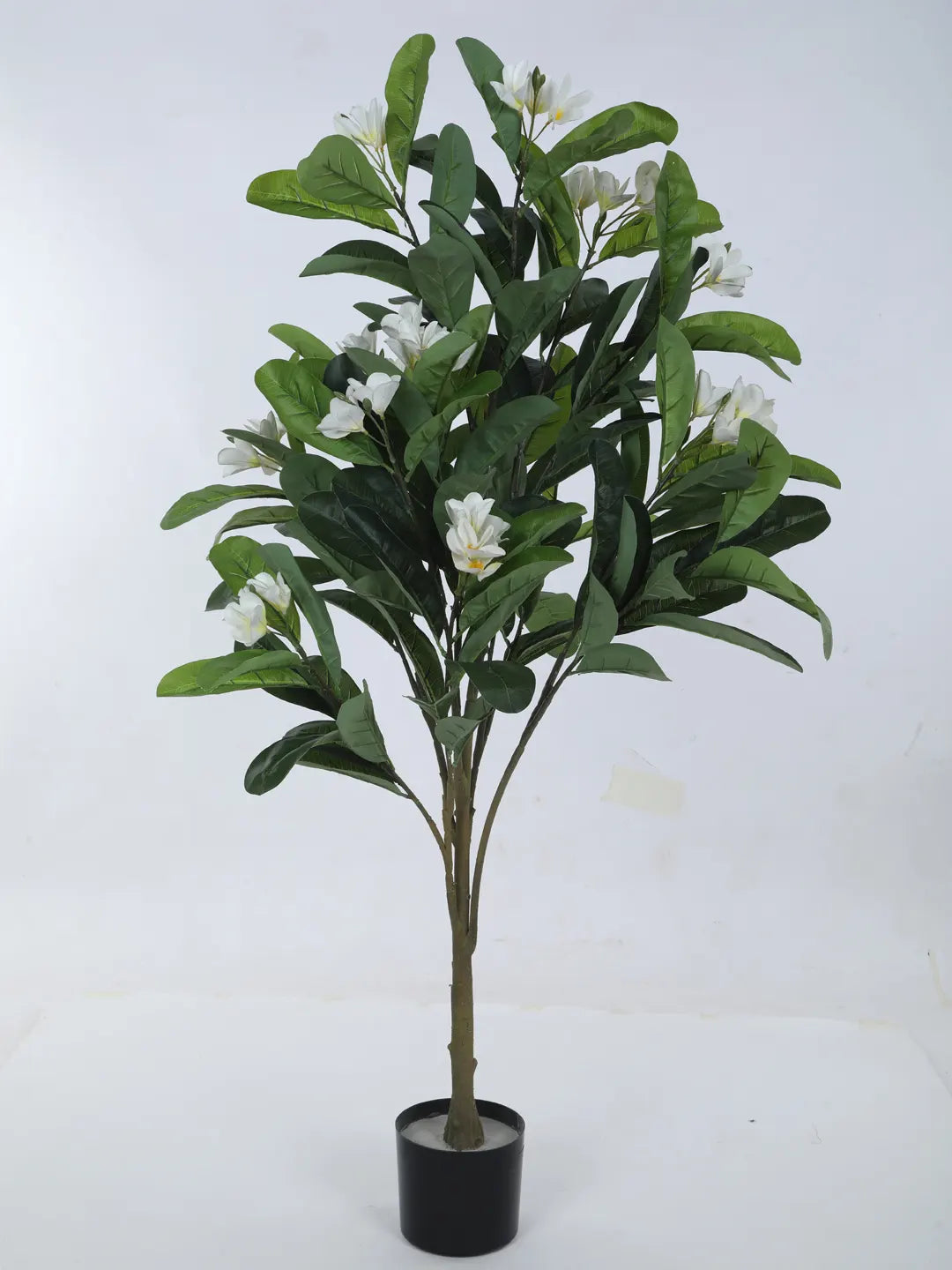 Artificial Frangipani Bloom Plant with Basic Black Pot - 4.5 Feet Green/White