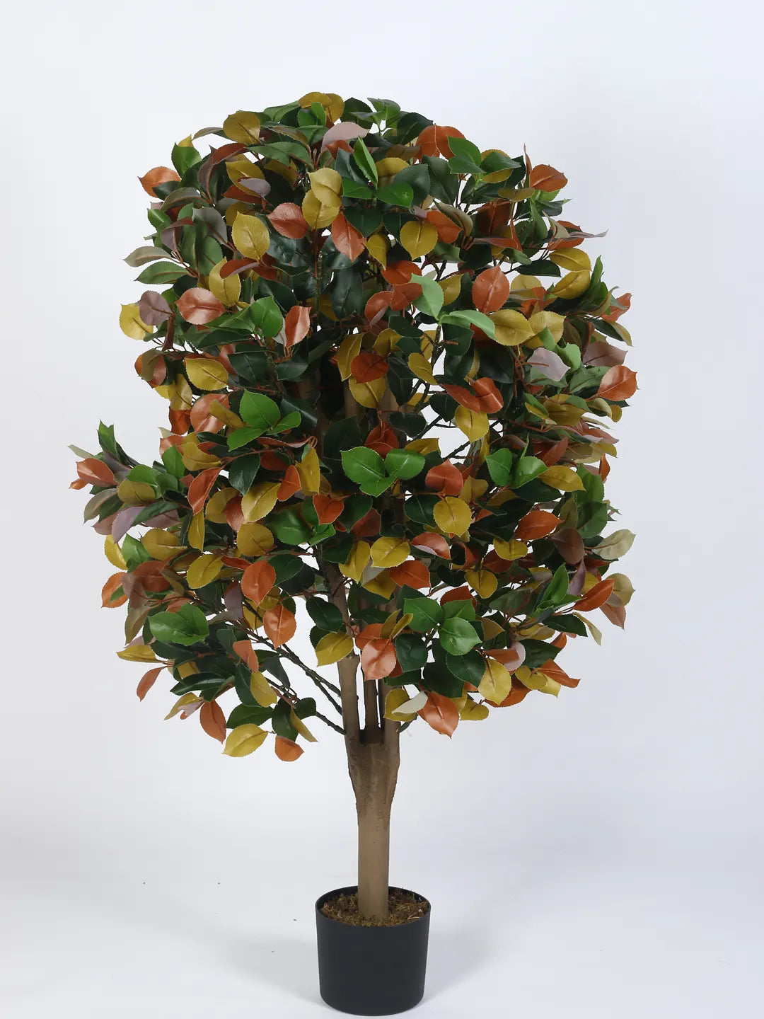 Artificial Multicolor Magnolia Grandiose Ficus Plant with Basic Black Pot - 4 Feet