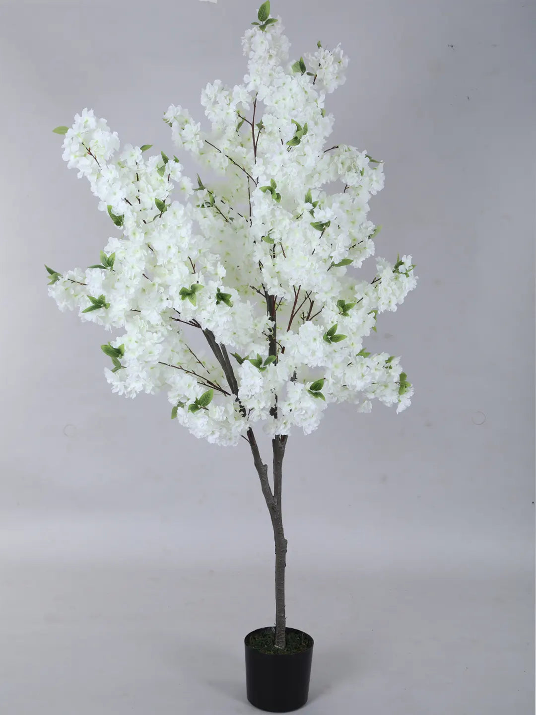 Artificial White Blossom Flowers Plant with Basic Black Pot - 6 feet