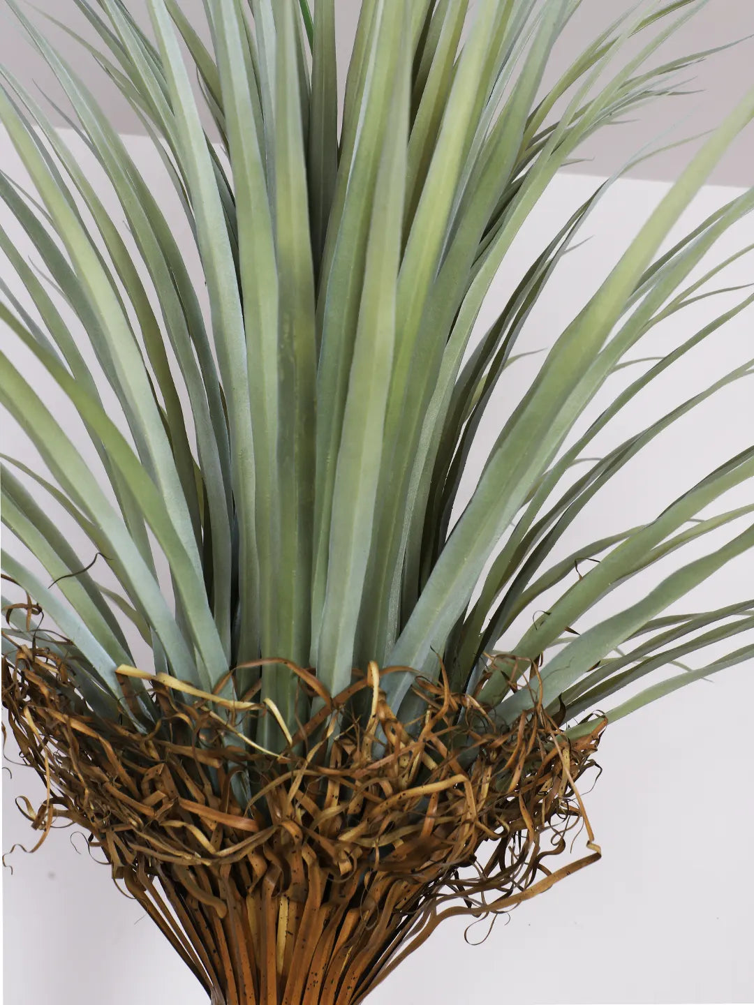Artificial Bottle Yucca Plants in a Black Vase (230 cm Tall, Green)