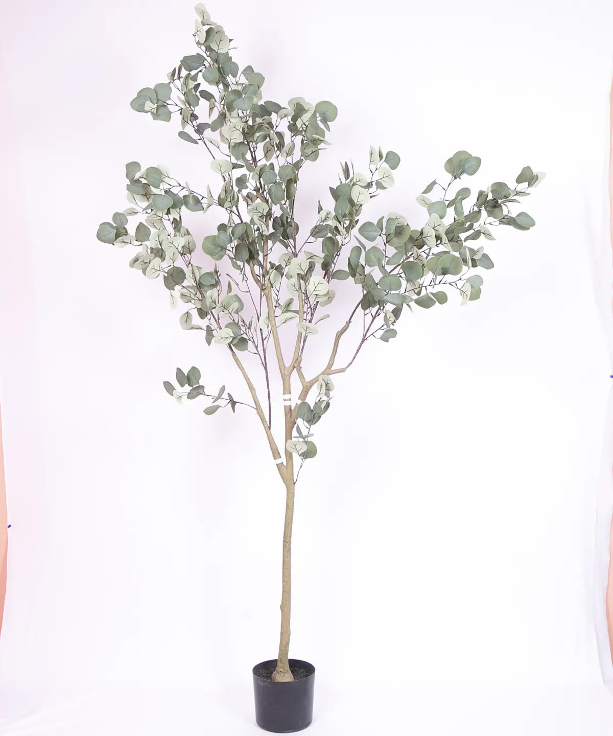 Artificial Eucalyptus potted plant, outdoor and indoor (180 cm Tall, Green)