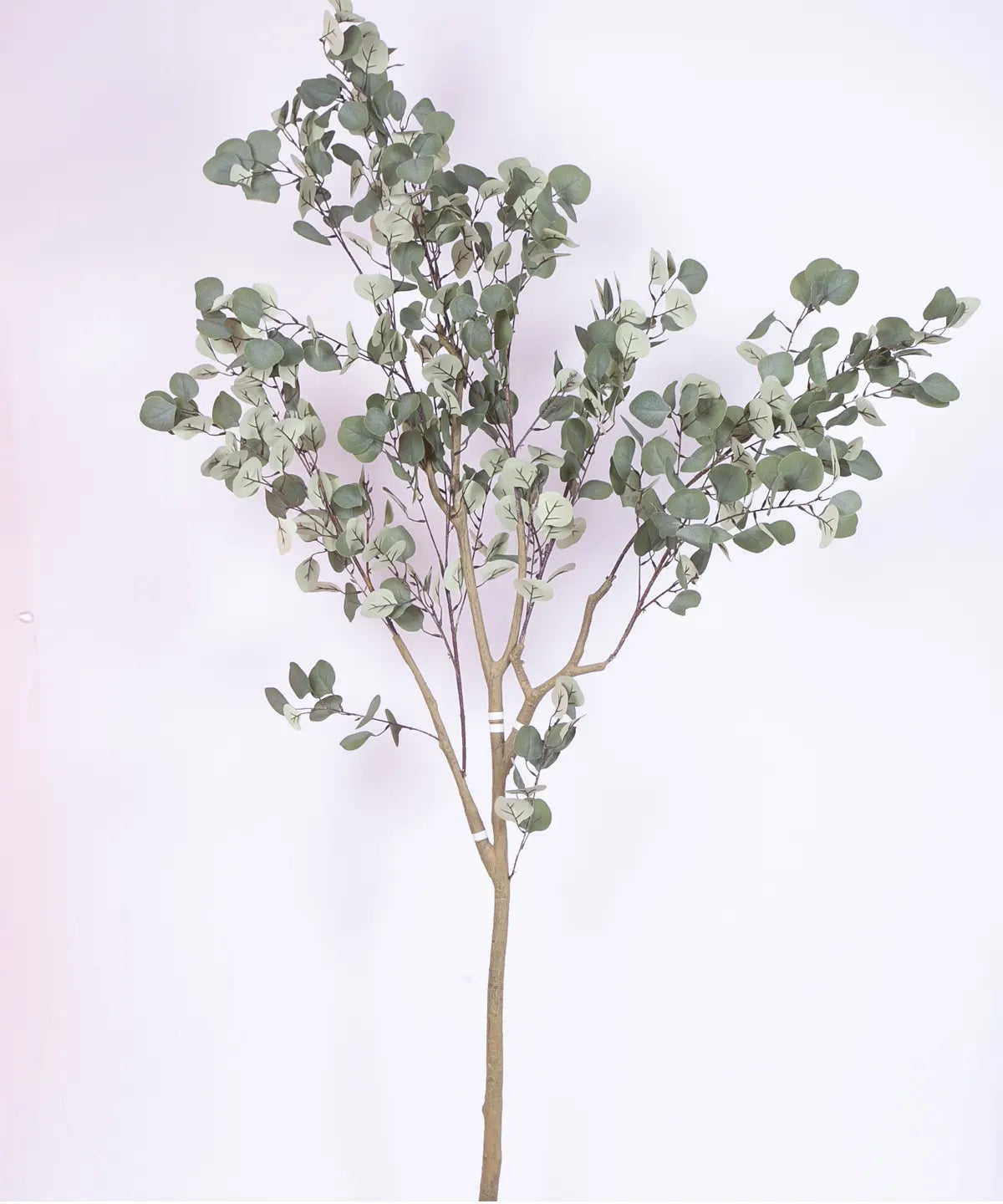 Artificial Eucalyptus potted plant, outdoor and indoor (180 cm Tall, Green)