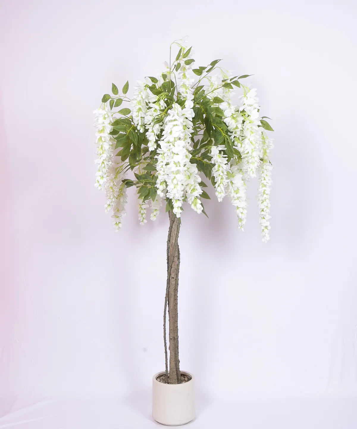 Artificial Wisteria Orchid Flowers Plants For with Basic Black Pot- 5.5 Feet - White