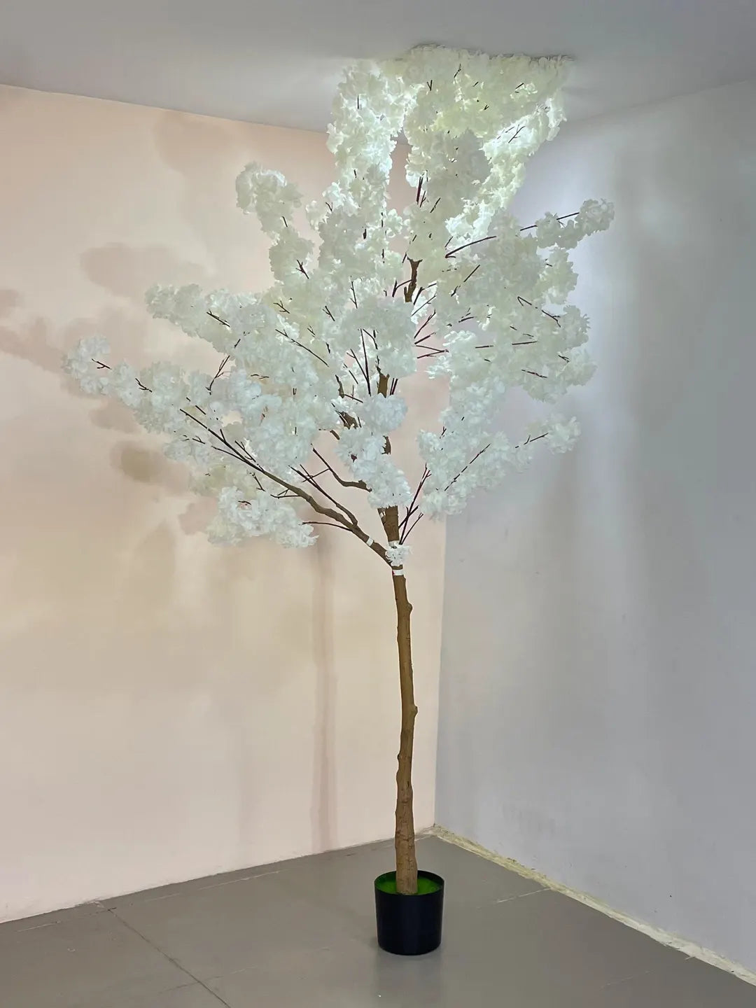 Artificial Blush White Cherry Blossom Plant With Black Pot- 7.8 Feet Tall