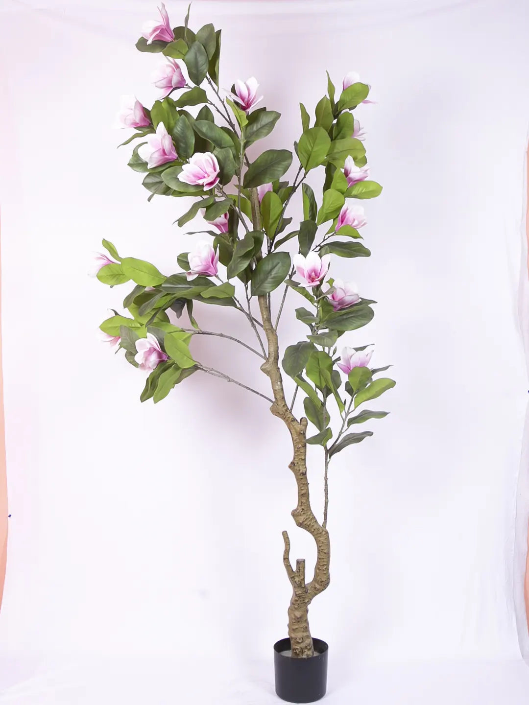 Artificial Magnolia Leaf Flowers Plant with Basic Black Pot - 200 cm Tall, Pink
