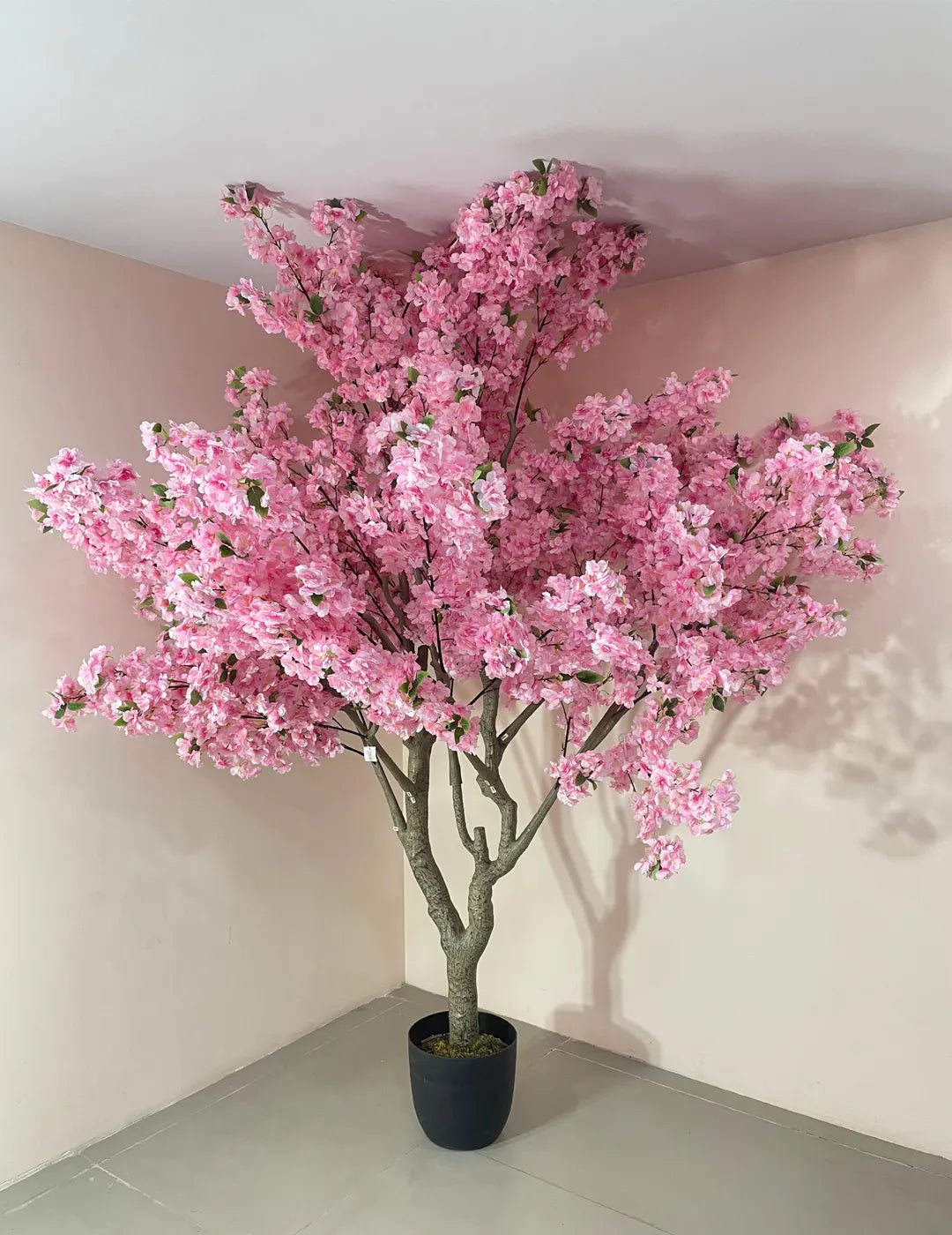 Artificial Blush Pink Cherry Blossom Plant With Black Pot- 8 Feet Tall