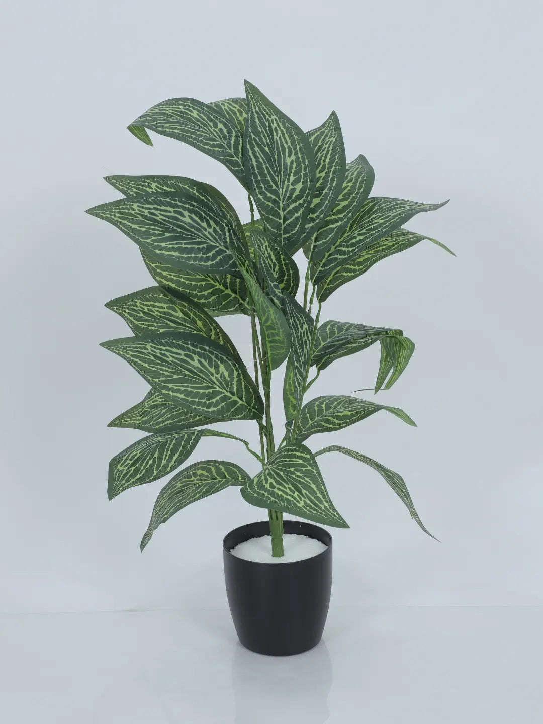 Artificial Green Croton Plants for Interior Decor/Home Decor/Office Decor|26 Leaves (with Pot, 70 cm Tall)