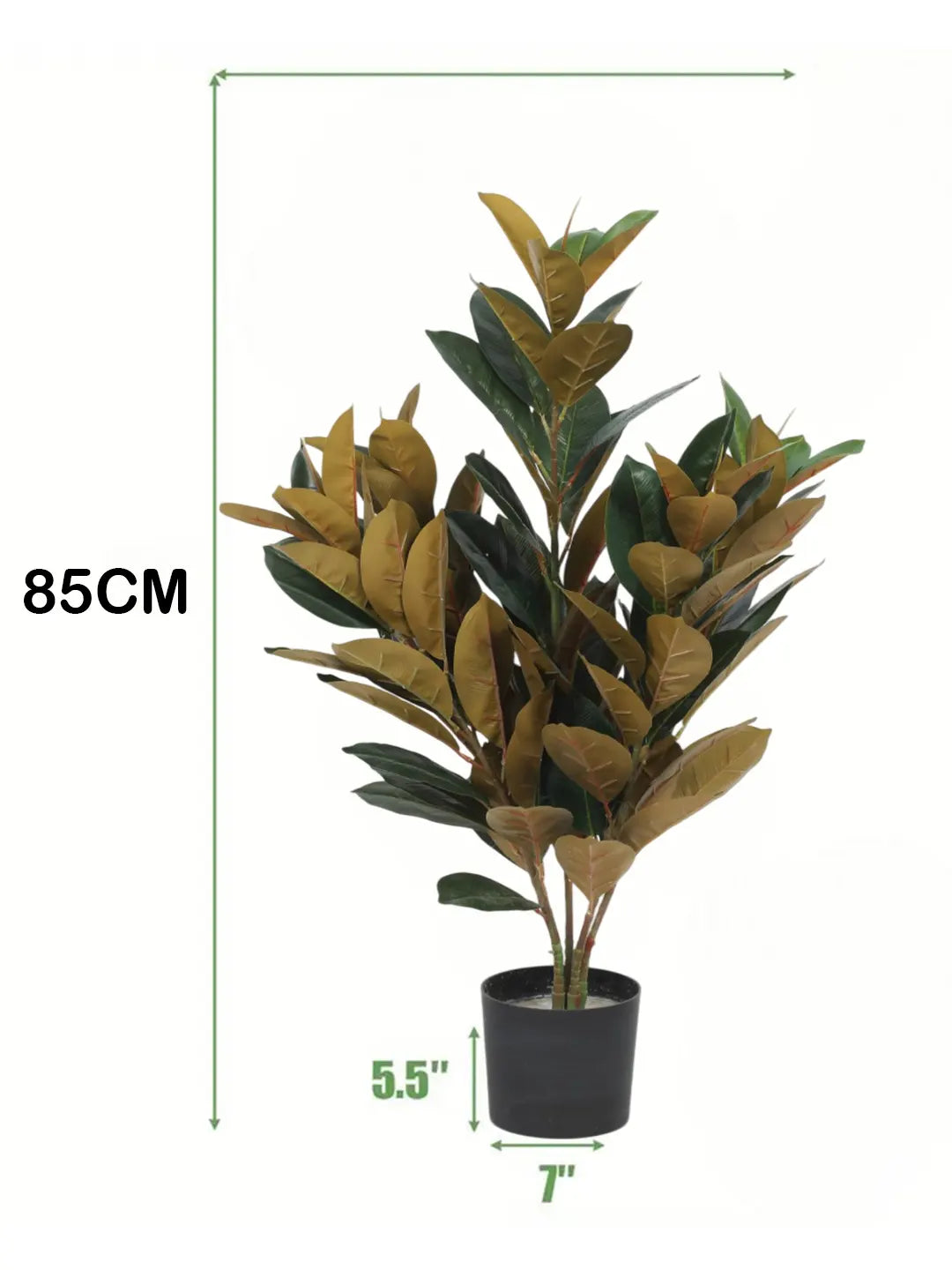 Artificial Red Rubber Plant with Basic Black Pot (85 cm Tall, 104 Light Green Leaves)