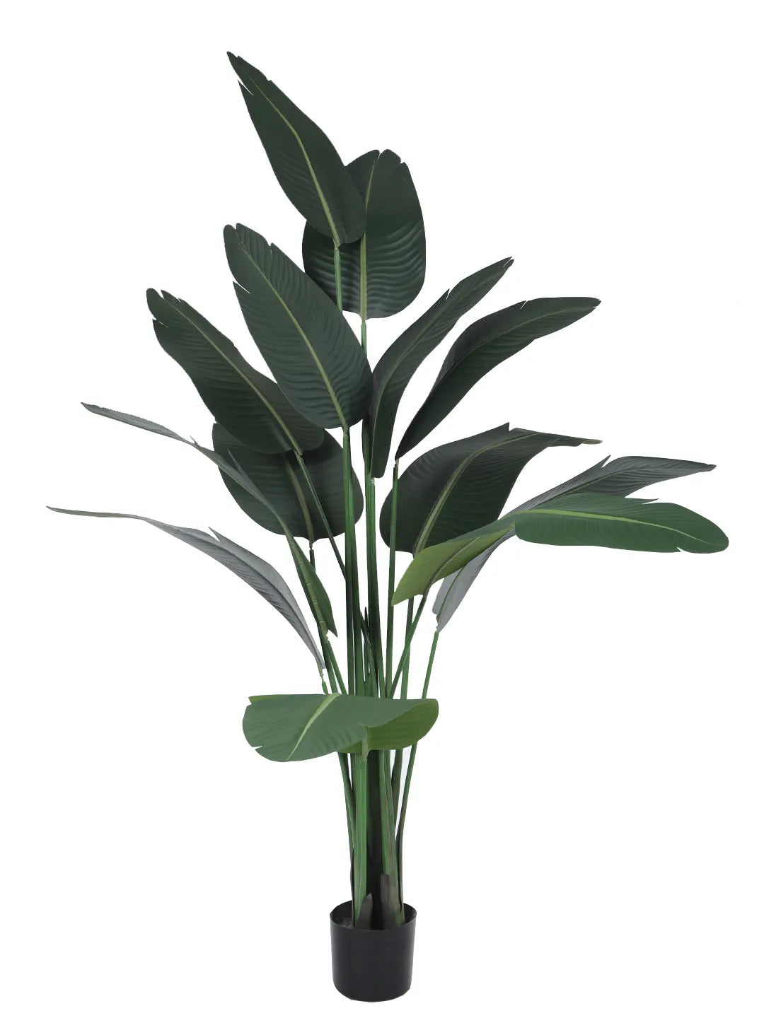 Artificial Cavendish Traveller Plant with Basic Black Pot - 6 Feet Tall, Dark Green Leaves