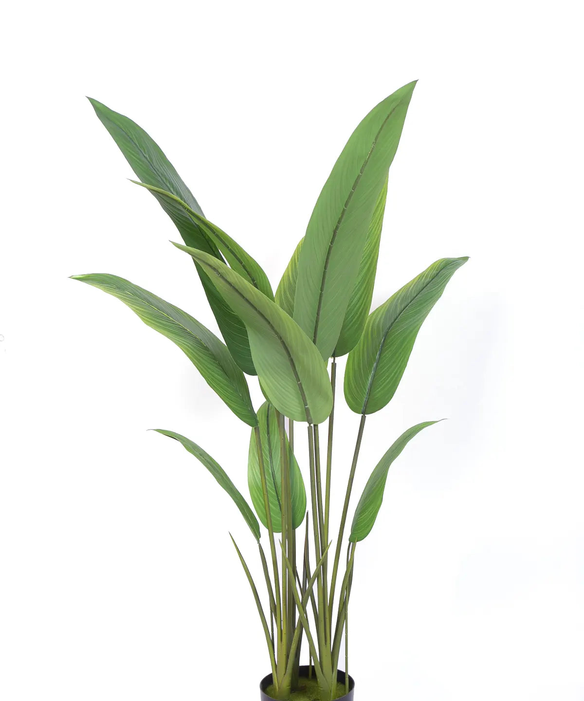 Artificial Birds of Paradise & Banana Plant with Basic Black Pot - 120 cm Tall