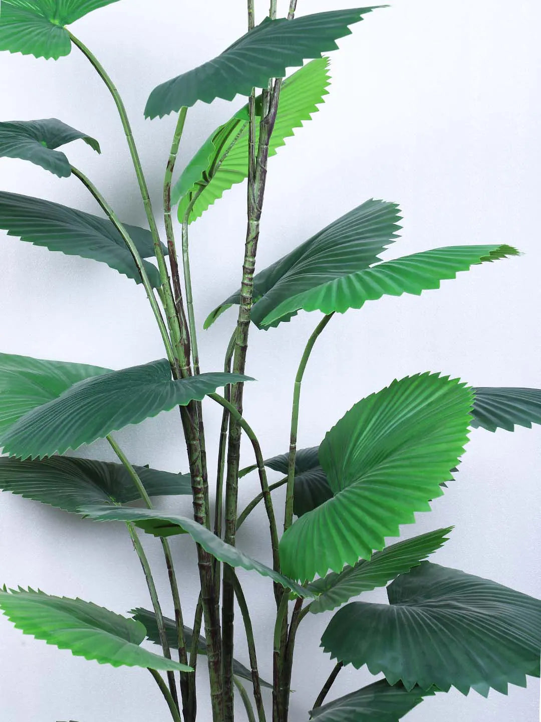 Artificial Circular Fan Palm Tree With Pot – 170 cm Tall