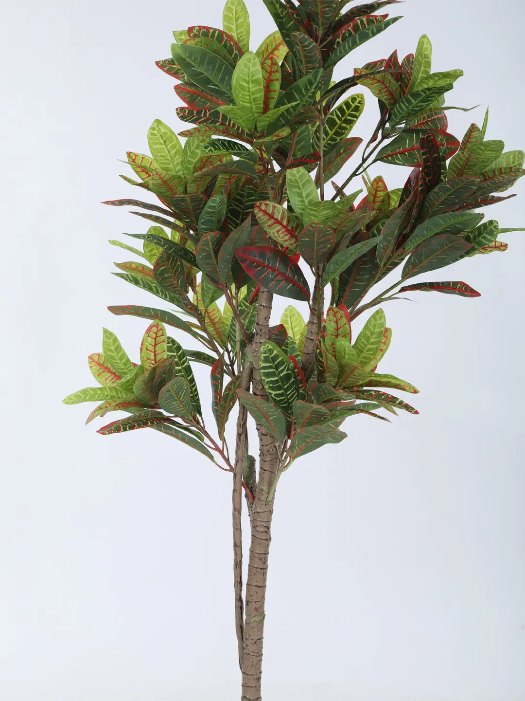Artificial Multicolor Croton Grandiose Ficus Plant with Basic Black Pot - 5 Feet