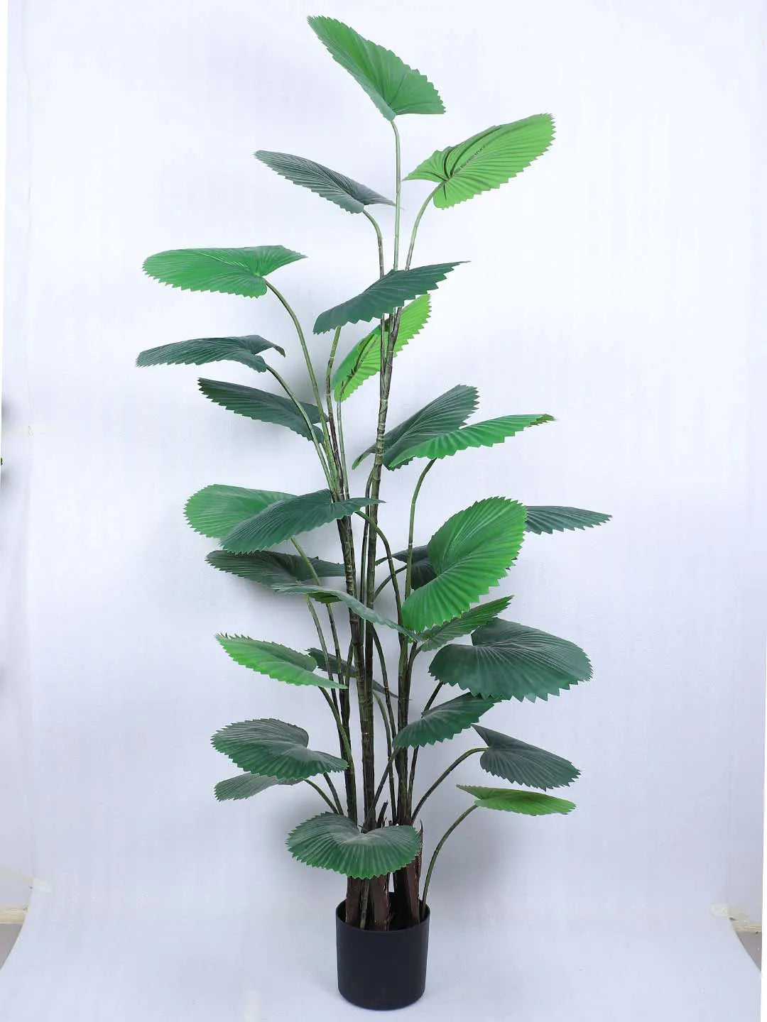 Artificial Circular Fan Palm Tree With Pot – 170 cm Tall