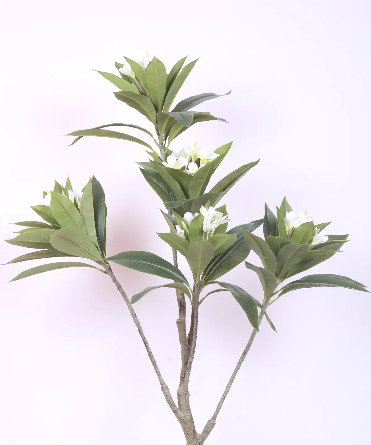 Artificial Magnolia Leaf Flowers Plant with Basic Black Pot - 150 cm Tall, White