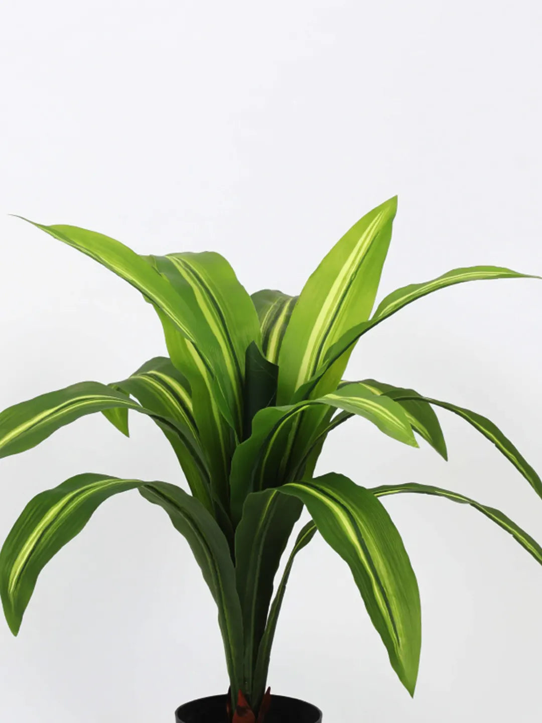 Artificial Variegated Dracaena Plant - 2.4 Feet - With Pot