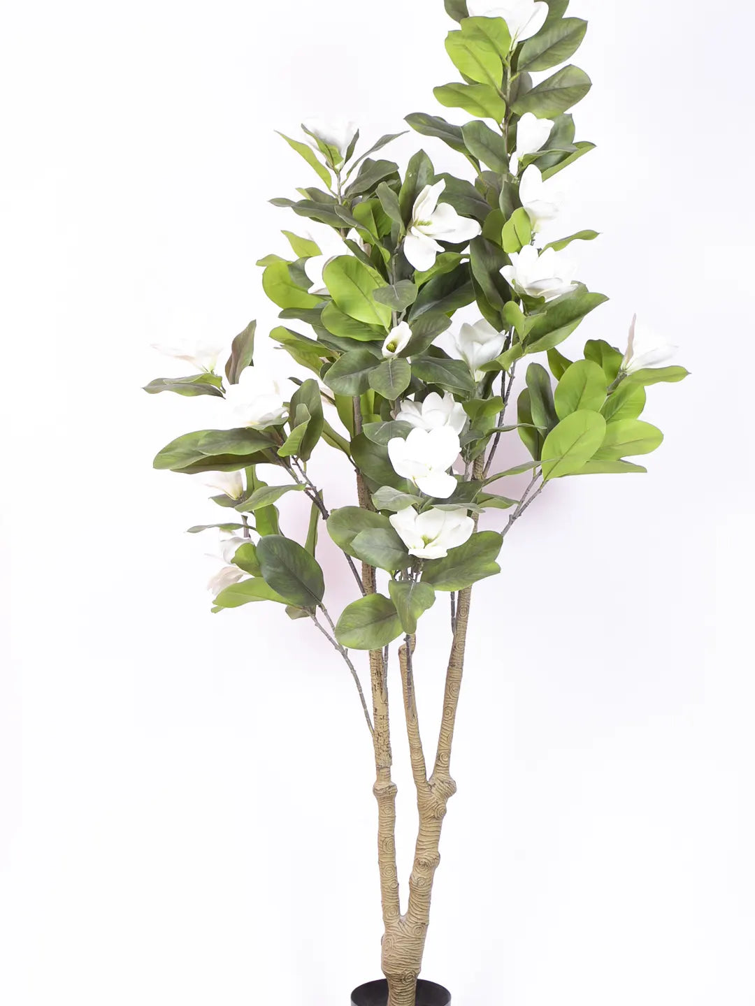 Artificial Magnolia Leaf Flowers Plant with Basic Black Pot - 180 cm Tall, White