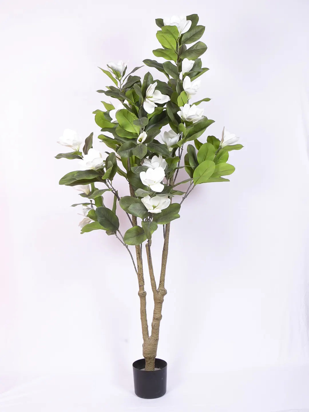 Artificial Magnolia Leaf Flowers Plant with Basic Black Pot - 180 cm Tall, White