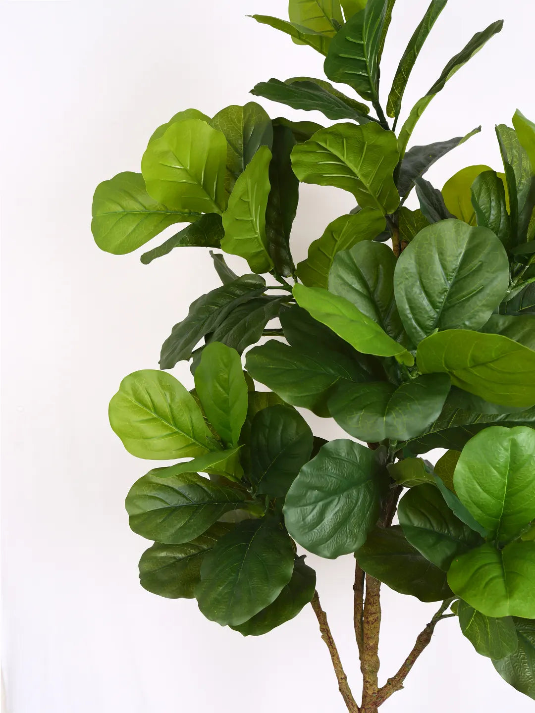 Artificial Fiddle Leaf Fig Plant with Basic Black Pot - 170 cm tall -Green