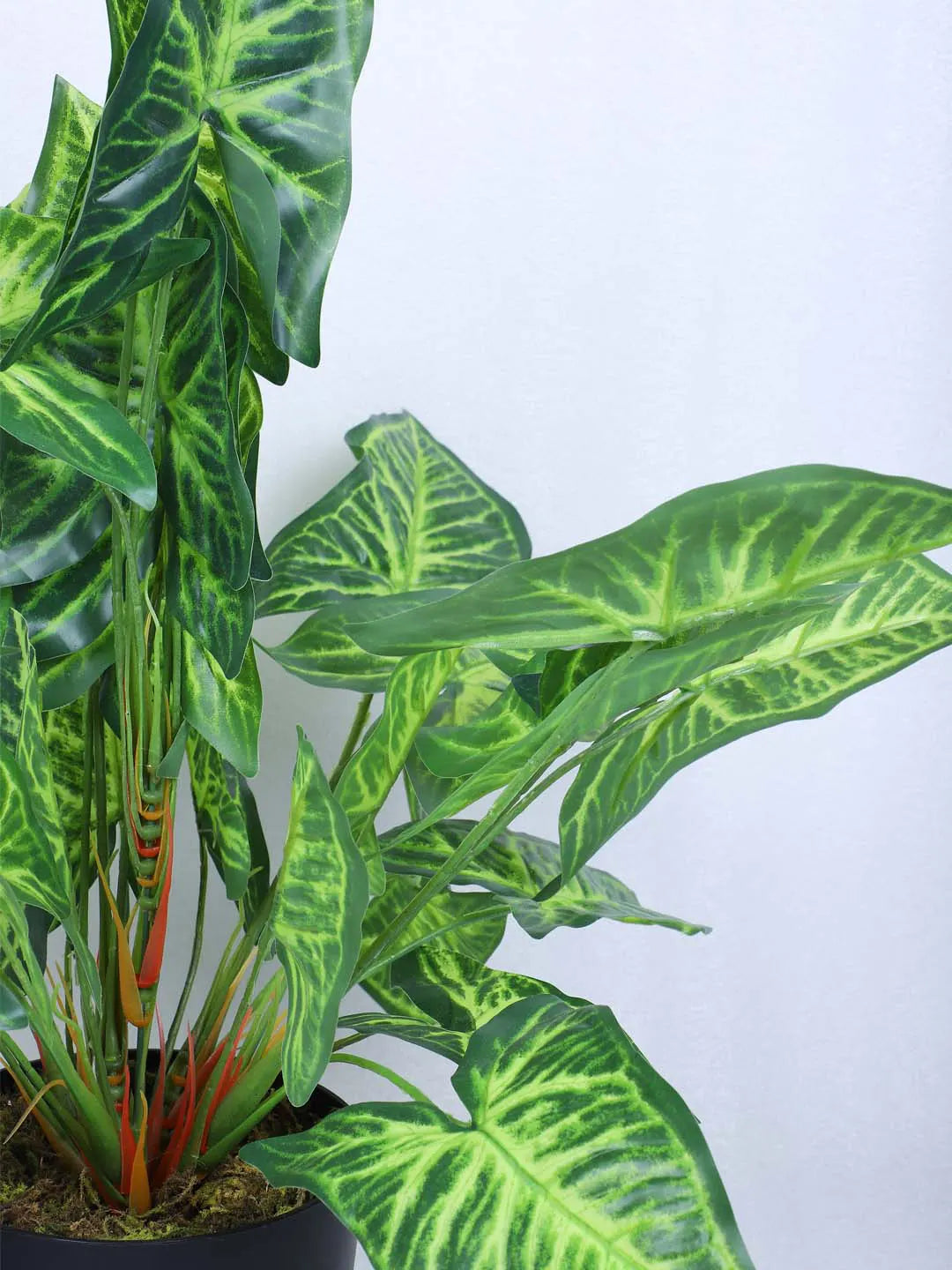 Artificial Miniature PVC Silk Caladium Leaf Green Floor Plant with Big Leaves with Pot (55 cm Tall, Green)