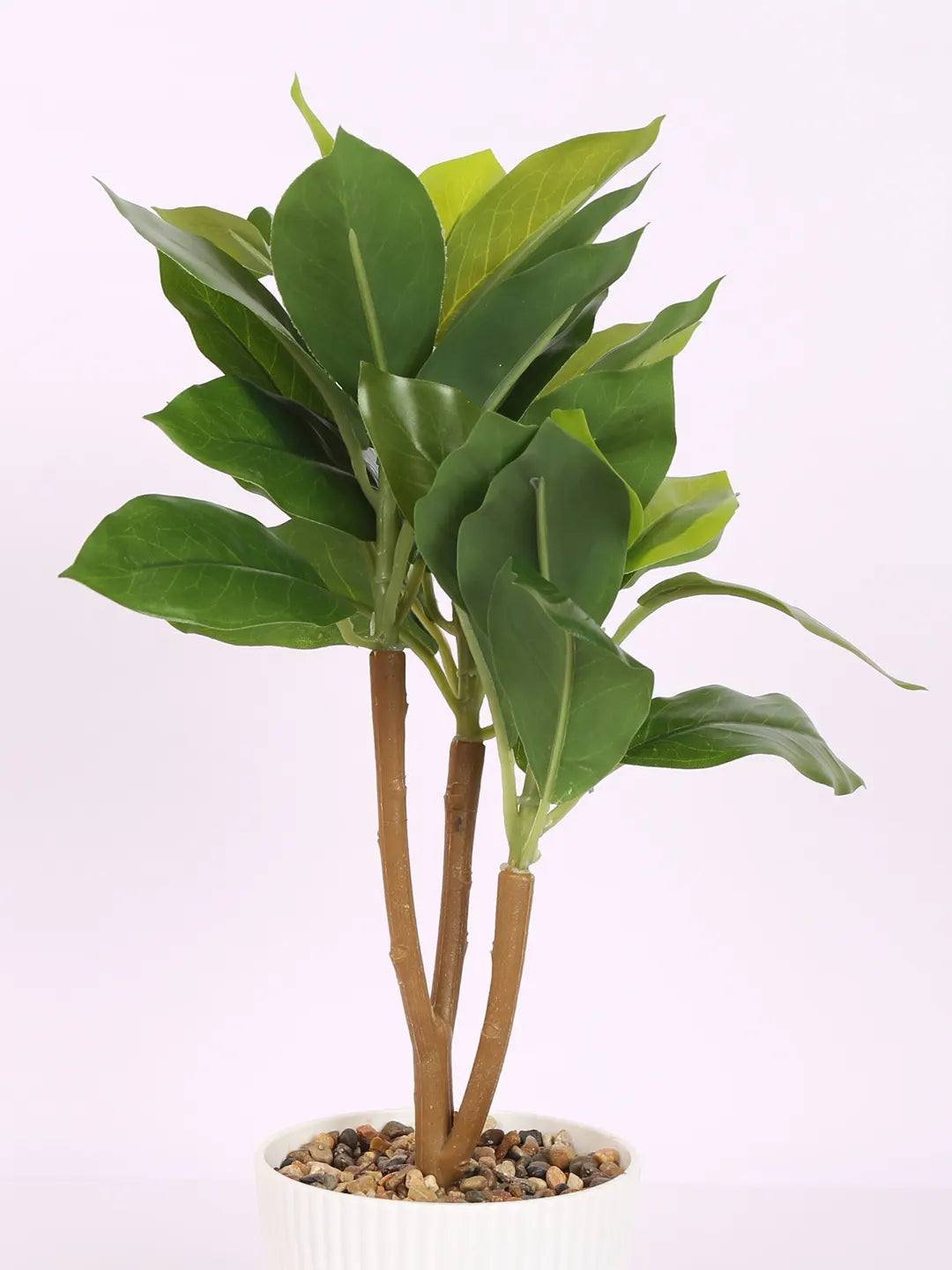 Artificial Ficus Bonsai Plant with Pot (30 cm Tall, Green)