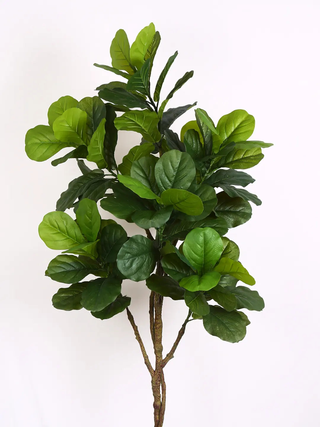 Artificial Fiddle Leaf Fig Plant with Basic Black Pot - 170 cm tall -Green