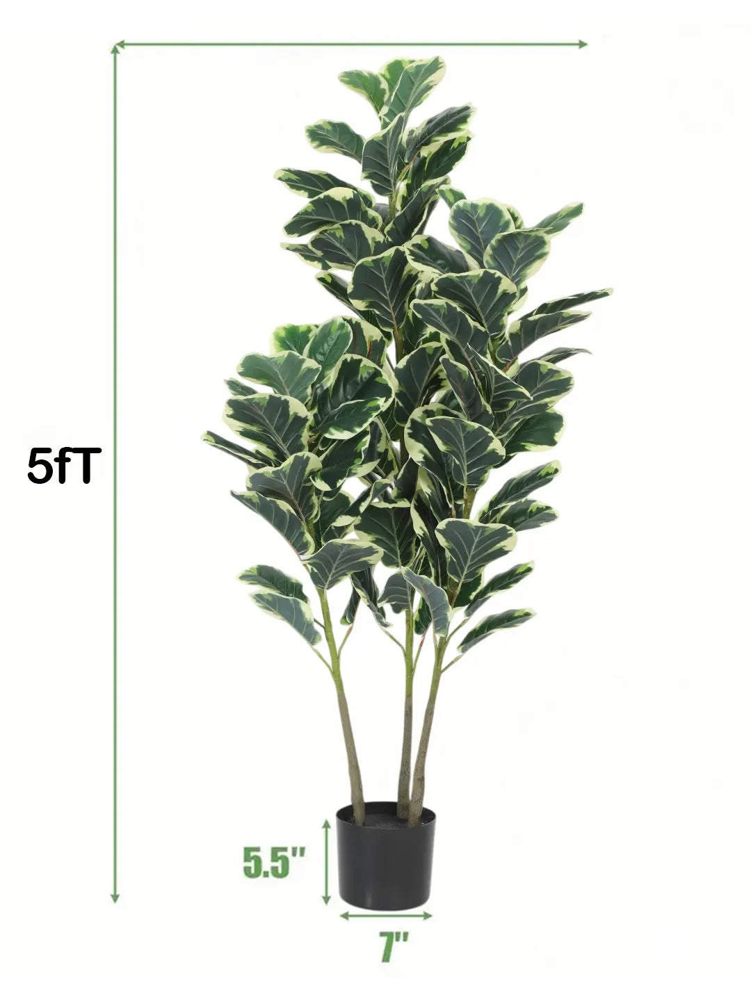 Artificial Variegated Fiddle Leaf Fig Plant with Basic Black Pot - 5 Feet tall