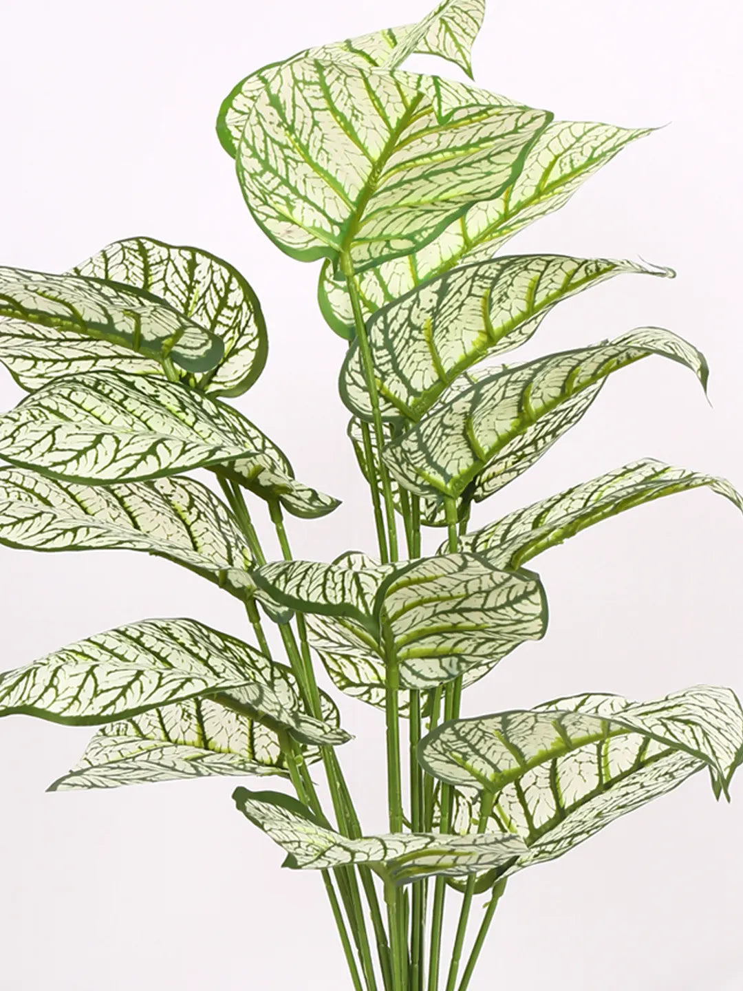 Artificial Dieffenbachia Leaf Plants for with Pot (18 Leaves, 65 cm Tall, White)