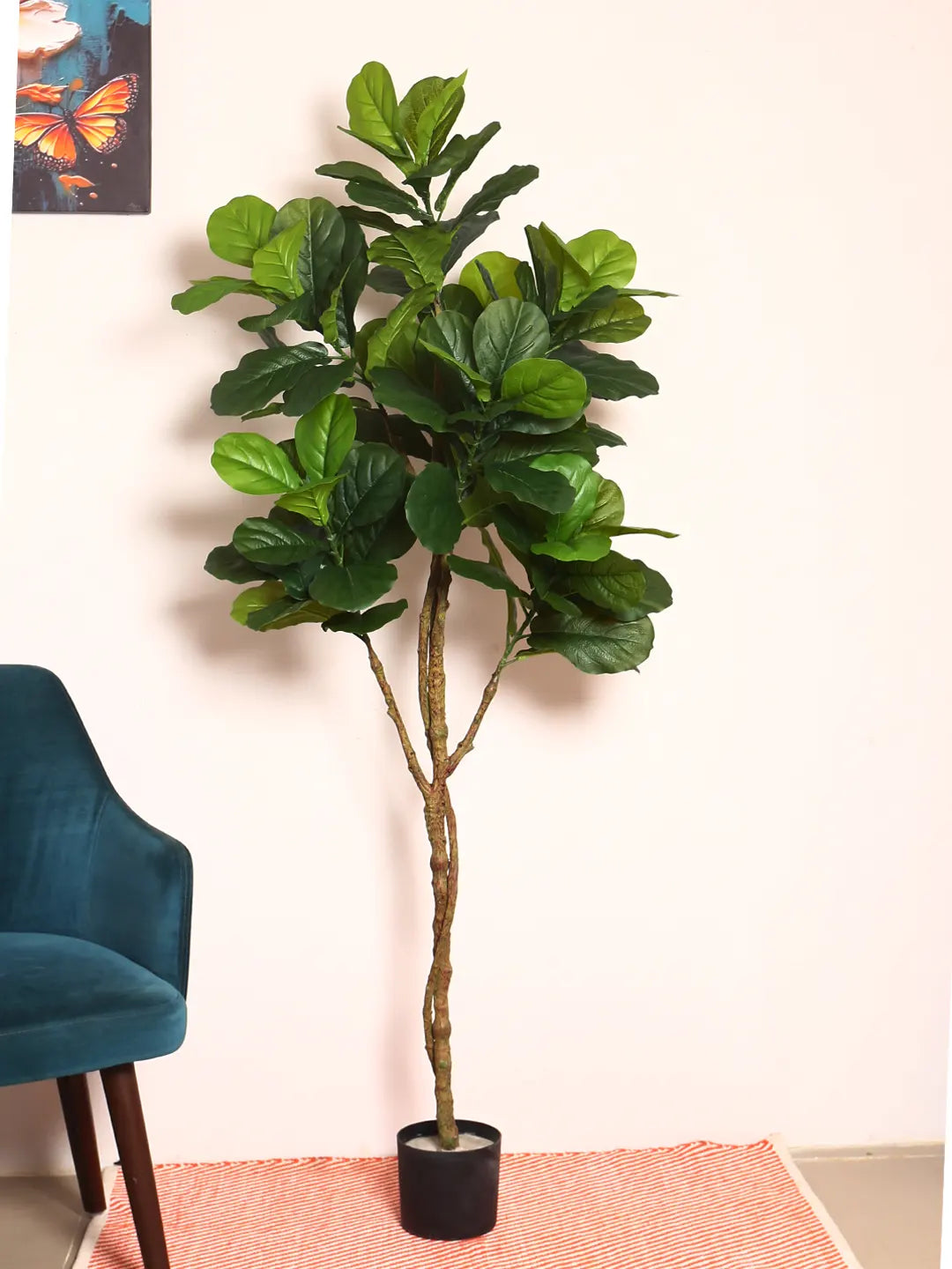 Artificial Fiddle Leaf Fig Plant with Basic Black Pot - 170 cm tall -Green