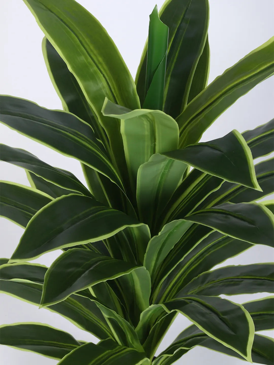 Artificial Variegated Dracaena Plant - 3 Feet - With Pot