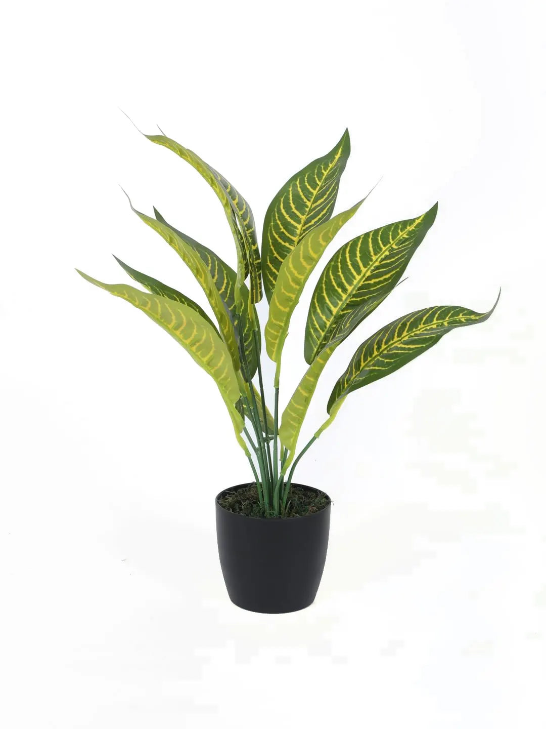 Artificial Yellow Iceton Croton Plant (12 Leaves with Basic Black Pot 45 Cm Tall Pack of 2)